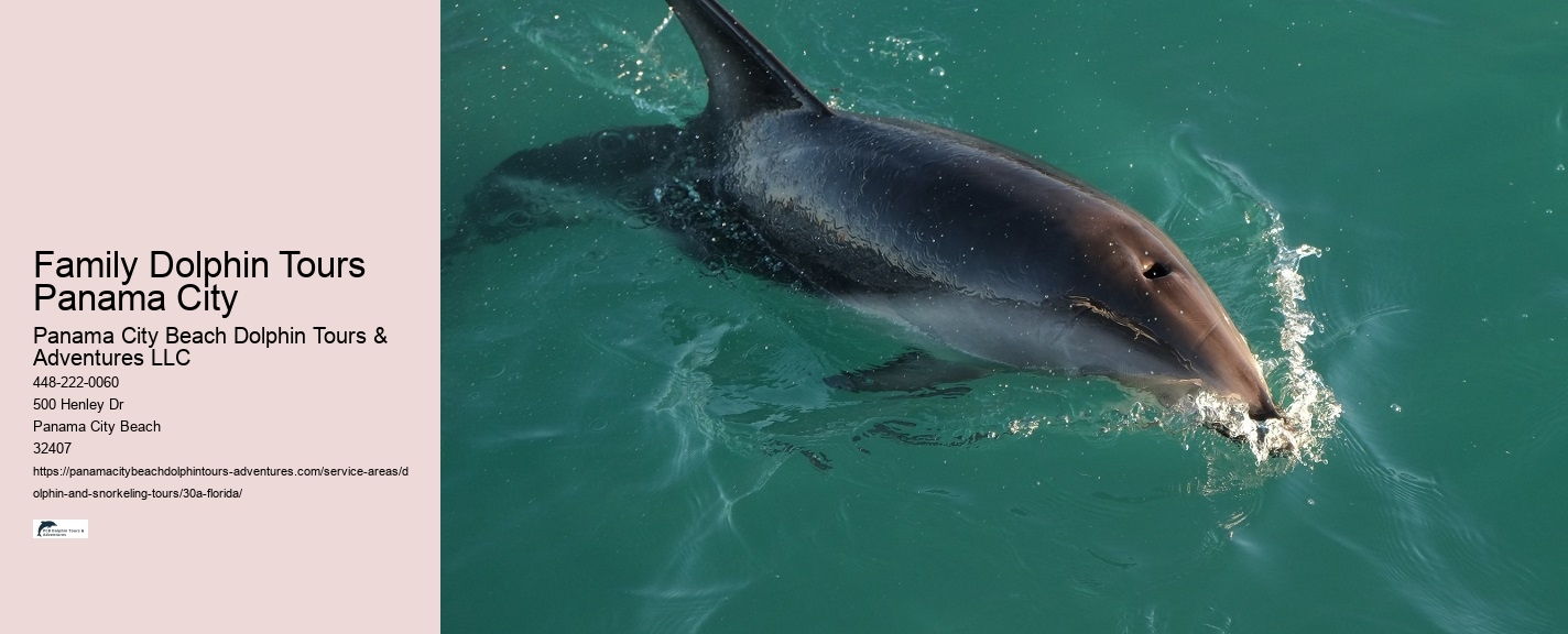 30A Dolphin Sightseeing Packages