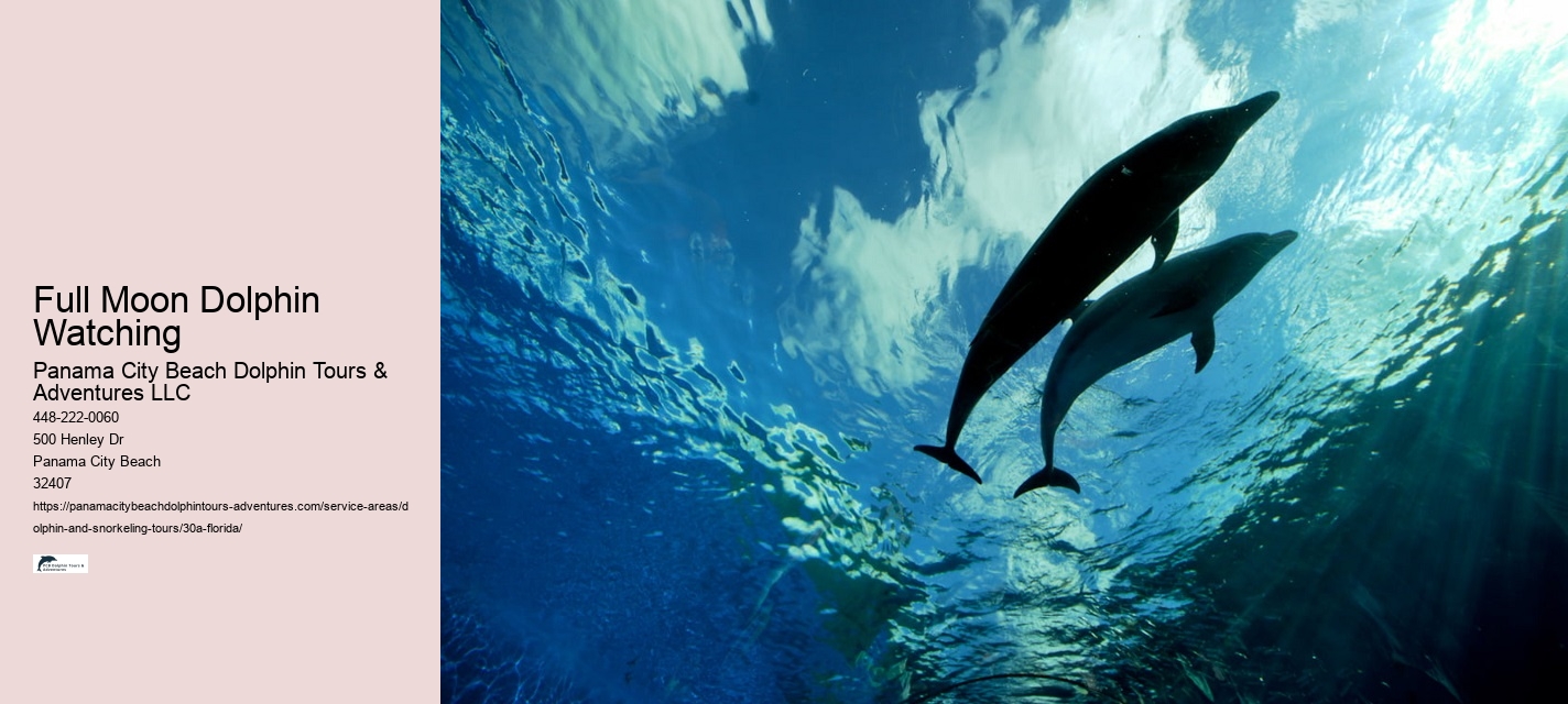 Full Moon Dolphin Watching