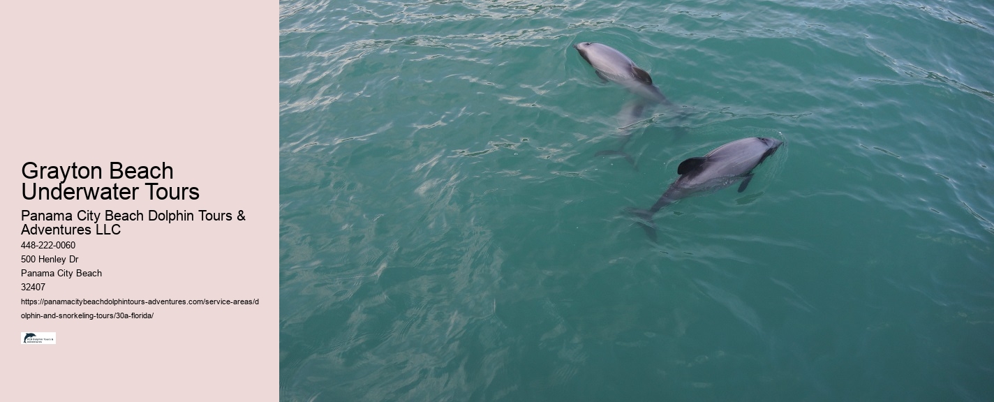 30A Marine Conservation Tours
