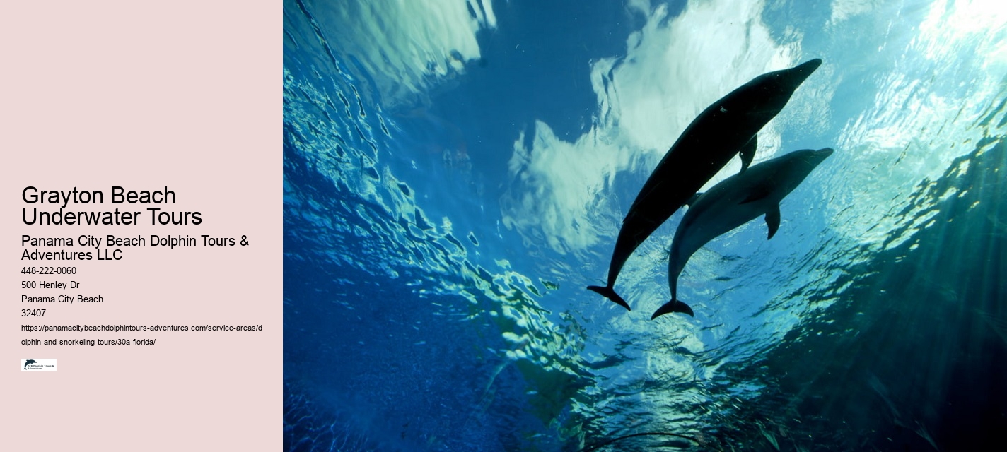 Private Dolphin Tours Panama City Beach