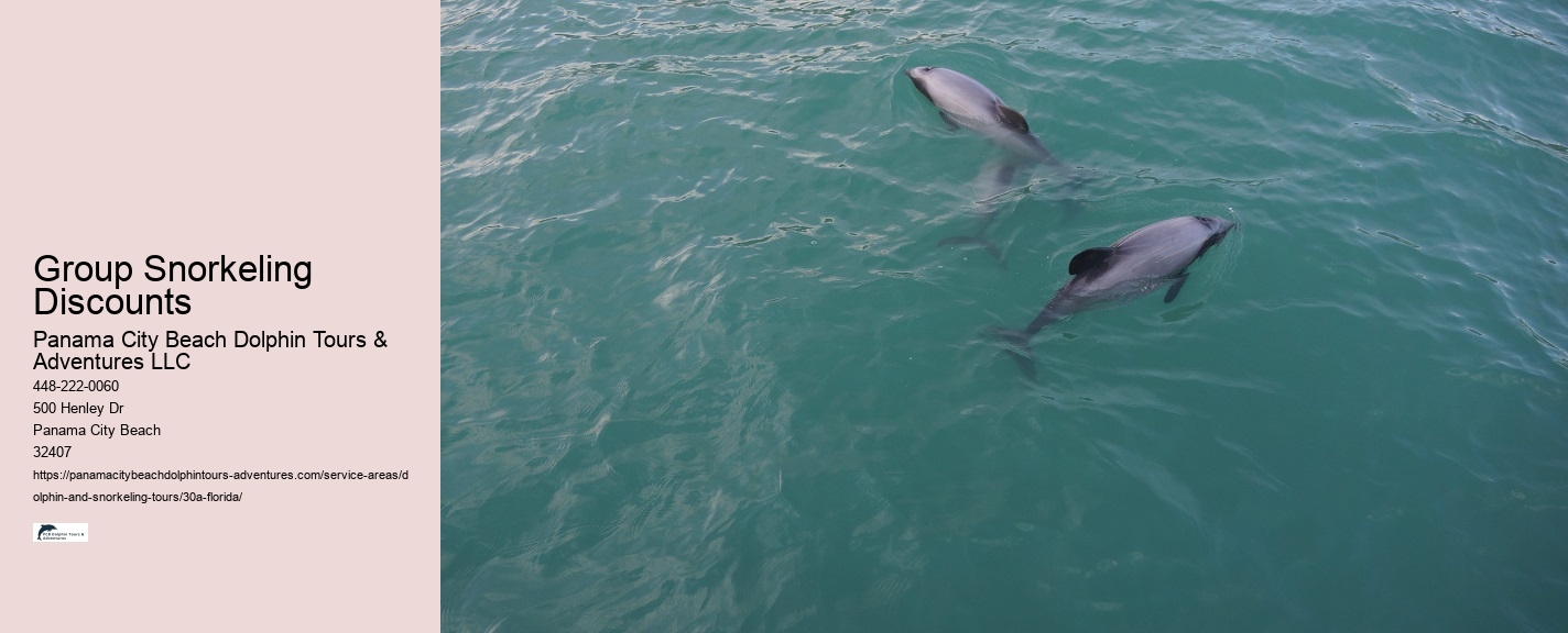 How To Call Dolphins To Your Boat