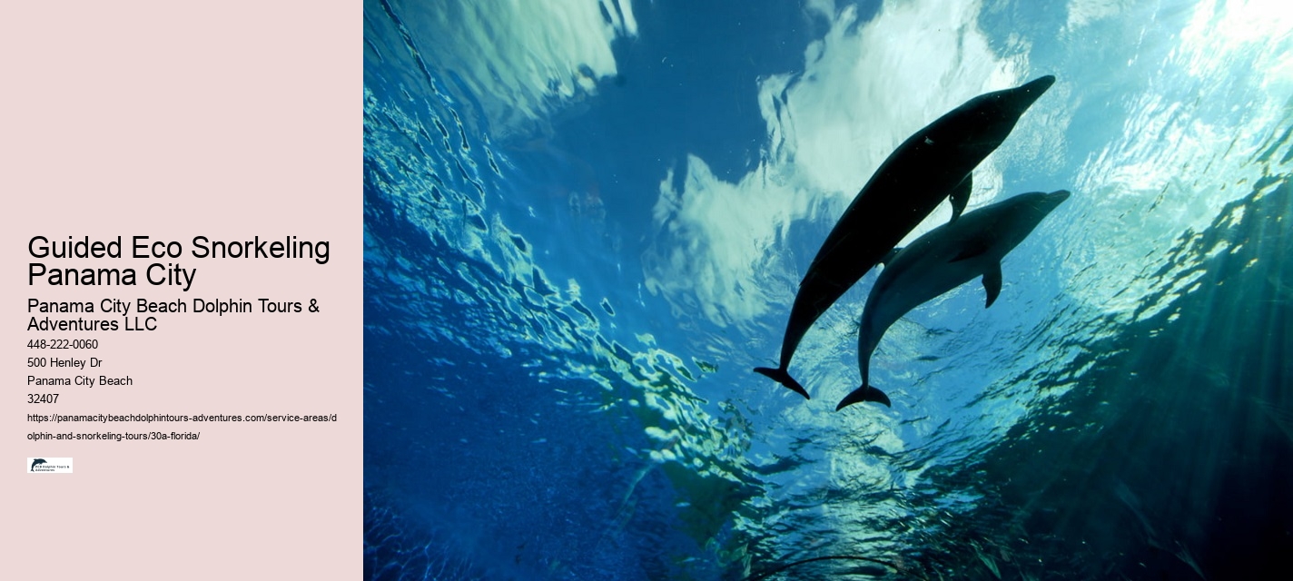 Guided Eco Snorkeling Panama City