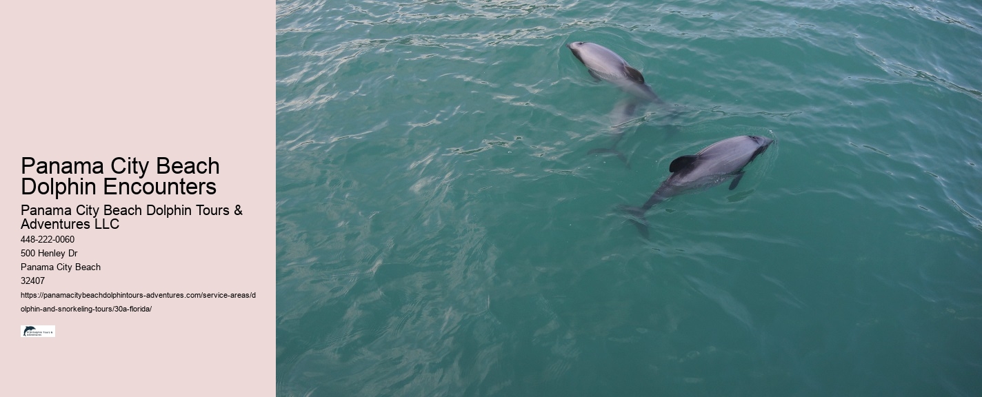 30a Dolphin Cruise