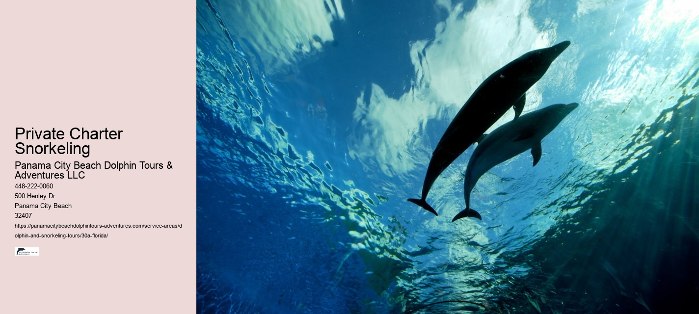 How can I participate in a dolphin and snorkeling tour on 30A