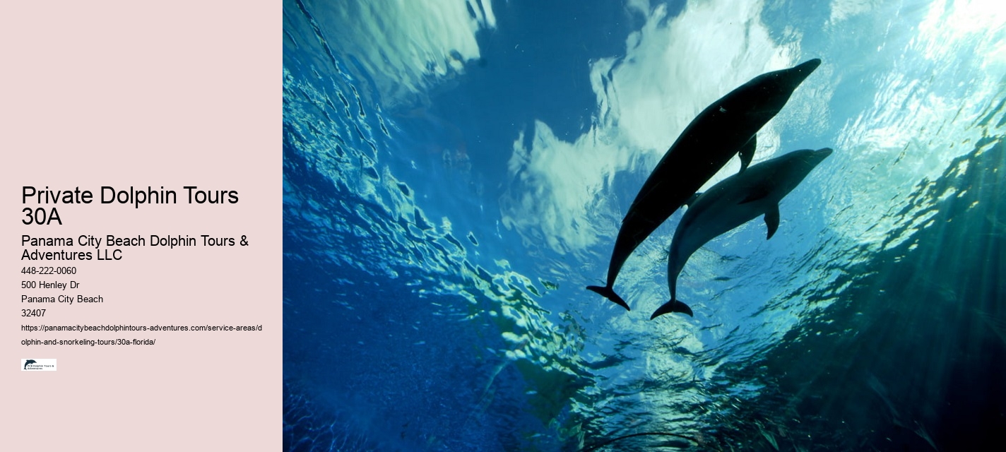 Best Dolphin and Snorkeling Tours 30a Florida