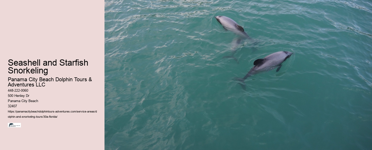 Eco-Friendly Marine Tours