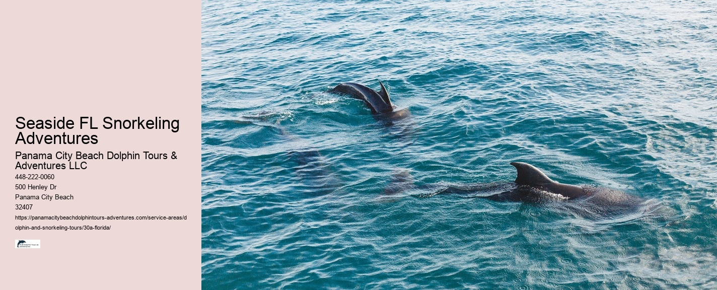Snorkeling Tours Services
