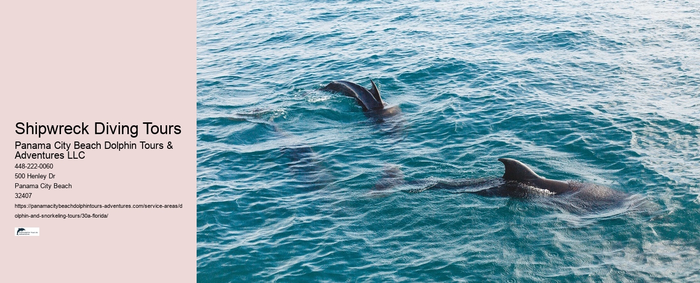 Eco-Friendly Dolphin Watching 30A