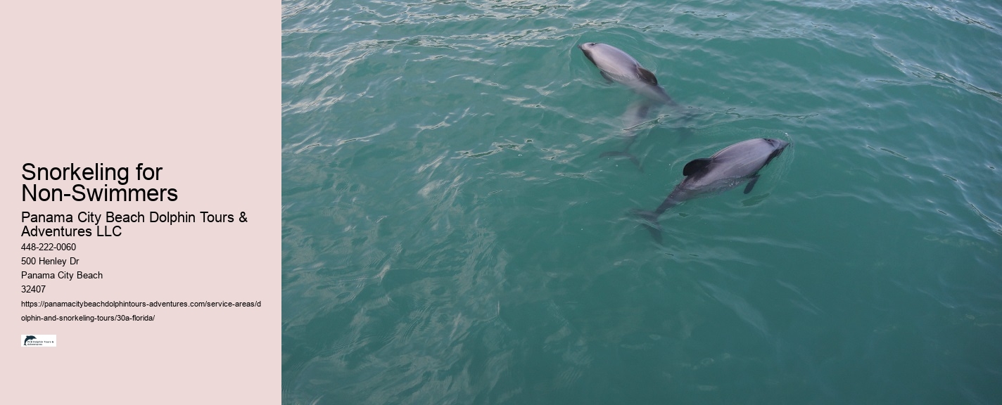 What Is The Dolphin Food Chain