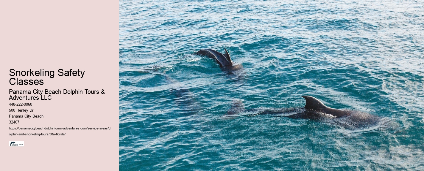 Dolphin Tours 30a
