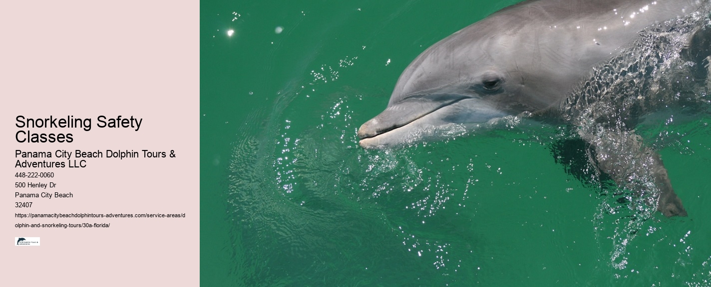 Dolphin Requirements