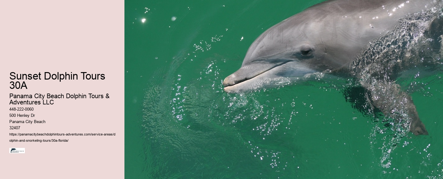 Full Moon Snorkeling Tours 30A