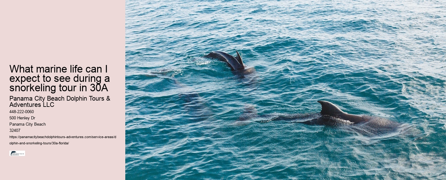 Why can't you swim with dolphins on your period