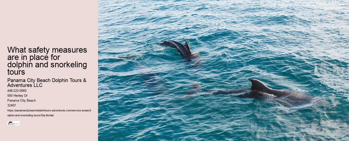 Dolphin Tours Panama City Beach Prices