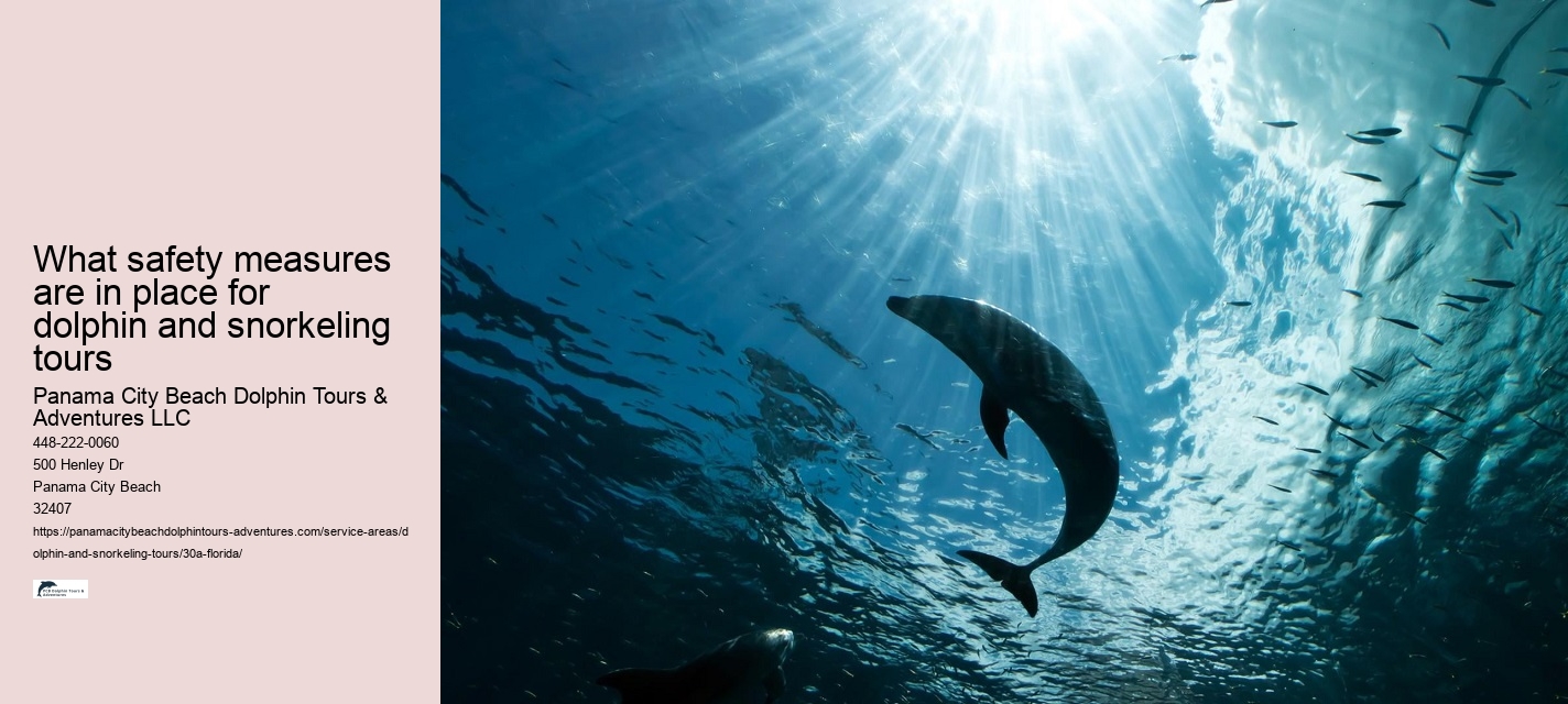 How To Watch A Dolphin Tale