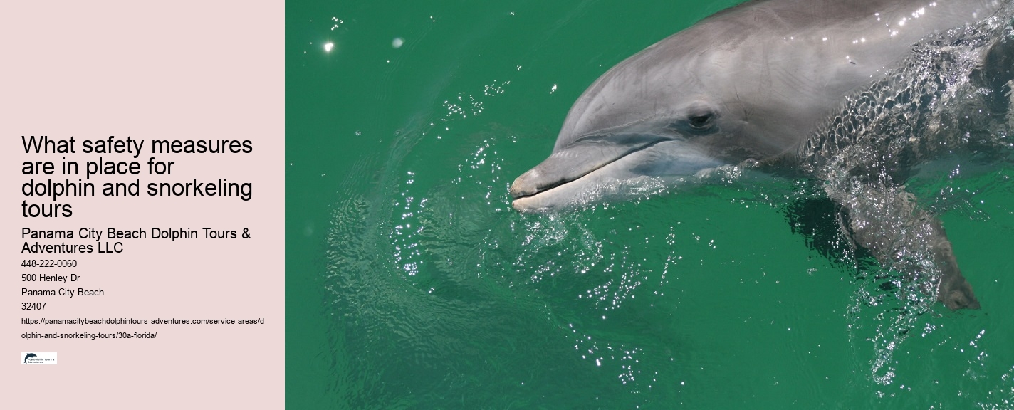 Panama City Dolphin Tours