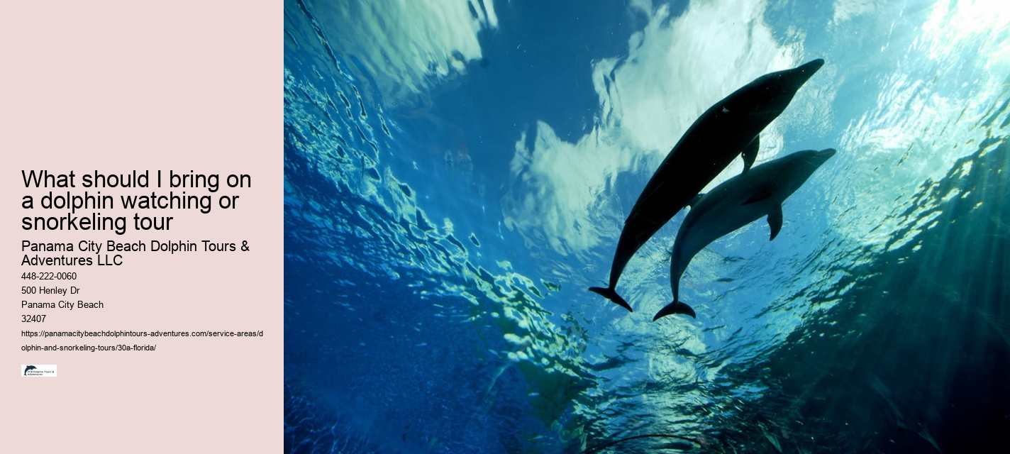 Dolphin Cruise