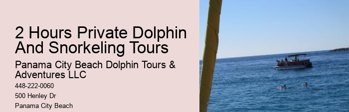 Exclusive Dolphin Snorkeling Excursions