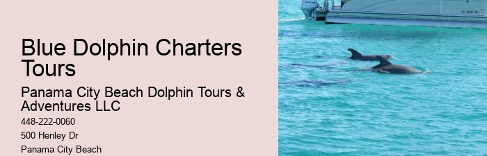 Why Not To Swim With Dolphins