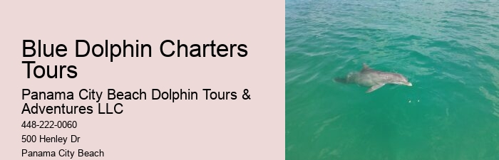PCB Dolphin Spotting Tours