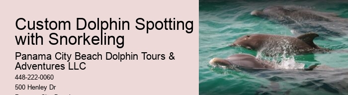 What Scares Dolphins Away