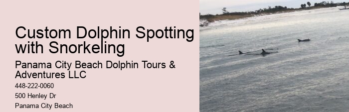 Dolphin Sightseeing
