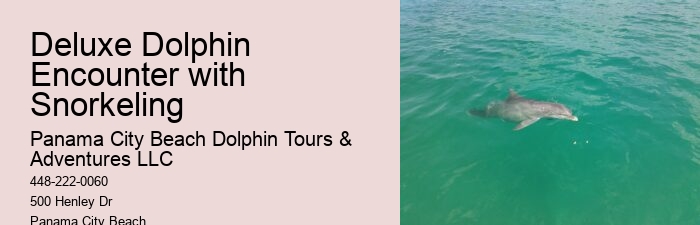 Dolphin Tours Rehoboth Beach
