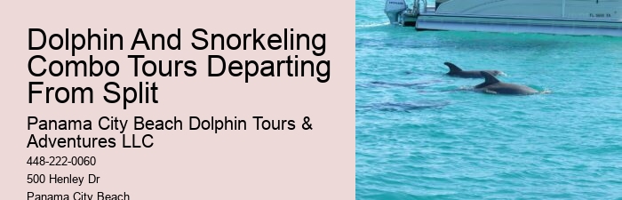 Split Charter Dolphin And Snorkeling
