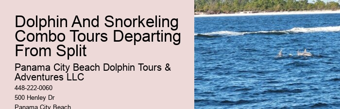 Split Private Luxury Dolphin And Snorkeling Tours