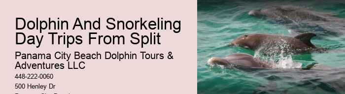 Split Unforgettable Dolphin And Snorkeling Adventures