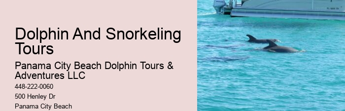 Are dolphin tours in Panama City Beach narrated by guides
