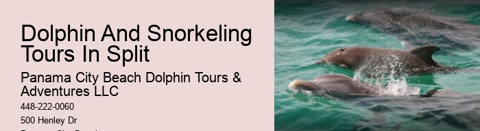 Split Budget-friendly Dolphin Snorkeling Excursions