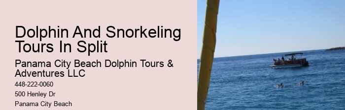 What type of dolphin species might we encounter on the tour