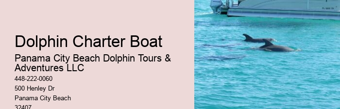 Split Luxury Dolphin And Snorkeling Yacht Charters
