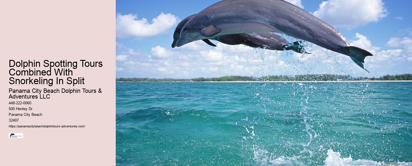 Dolphin And Snorkeling Tour