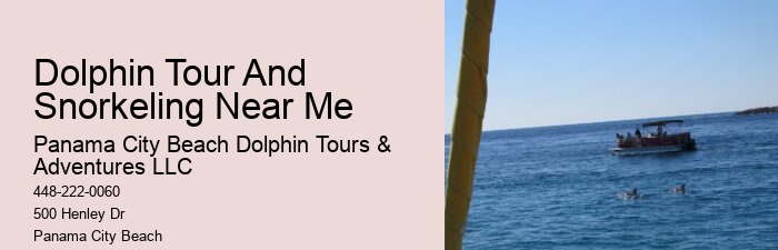 Split Exclusive Dolphin And Snorkeling Experiences