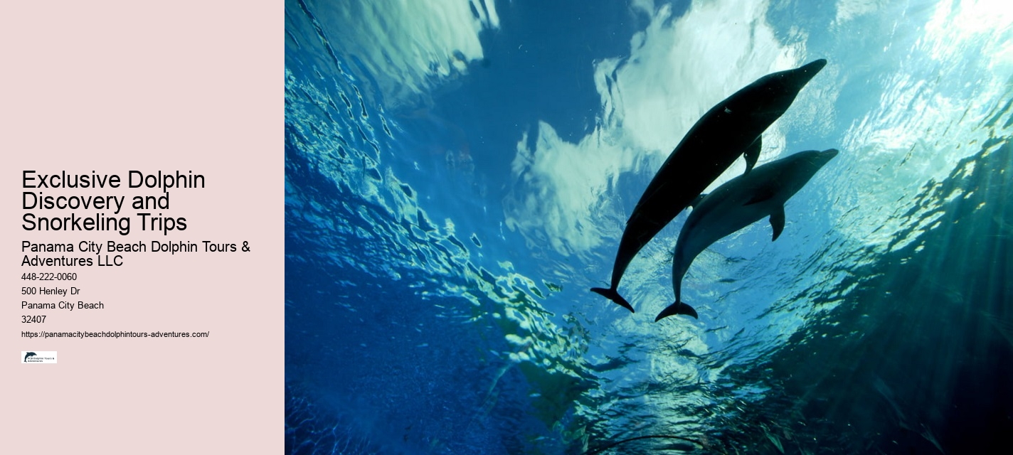 Private Dolphin Tours Orange Beach
