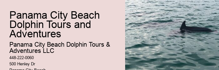 Panama City Beach Dolphin Trips