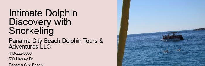 Tour Panama City Beach