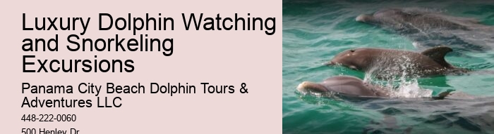 Dolphin Cruises