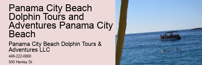 VIP Dolphin Encounter with Snorkeling