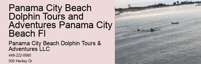 Split Family-friendly Dolphin And Snorkeling Trips