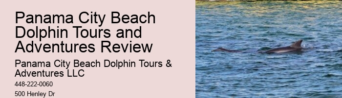 Panama City Beach dolphin viewing tours