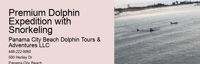 Split Boat Trips For Dolphin Watching And Snorkeling