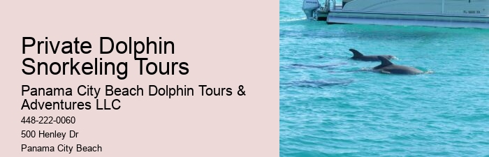 Will Dolphins Let You Touch Them