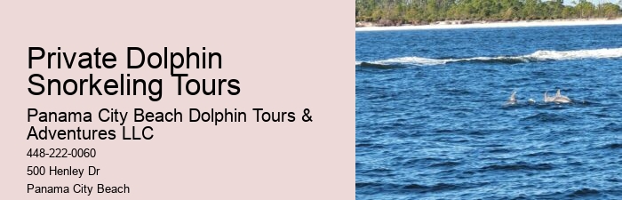 Do You Get Wet On Dolphin Tours