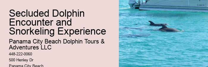 Individual Dolphin Encounter and Snorkeling Tours