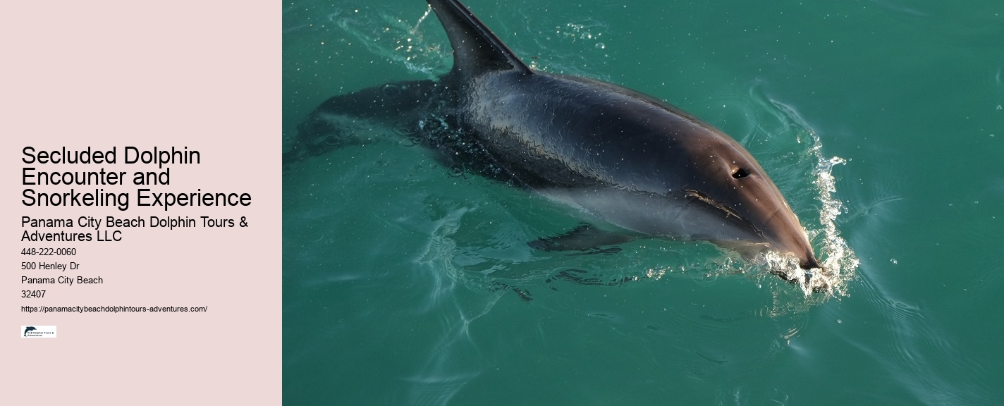 Do You Get Wet On A Dolphin Cruise