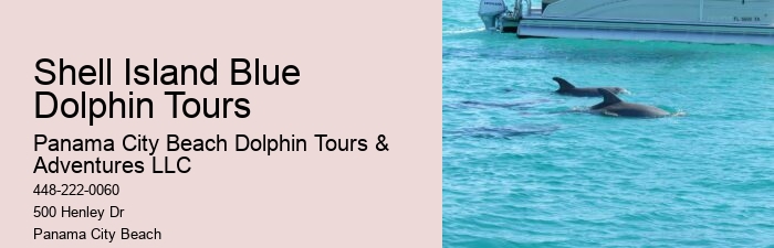 Split Sunrise Dolphin Watching And Snorkeling Trips
