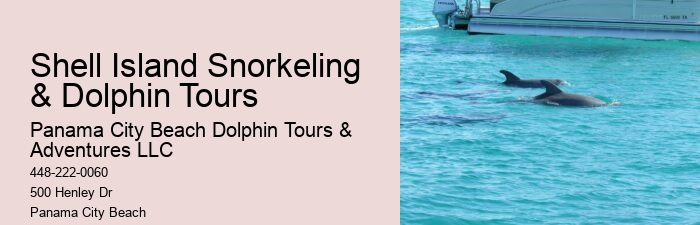 What Not To Do With Dolphins